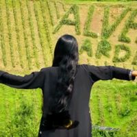 md.yesil