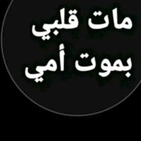yassmineamr4