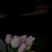 you__i3