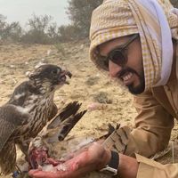 الصوت الأصلي