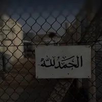 original sound - t5i_o