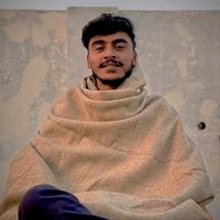 mughalalihusnain5