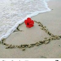 _sirinov_qedim