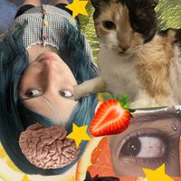poopsia