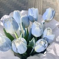 suara asli - tia🕊️