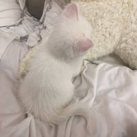 オリジナル楽曲 - 忘れないで.