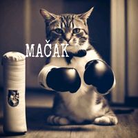 mackolinos