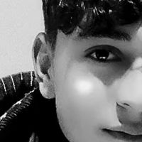 massoumi3478