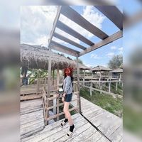 tsiduxt