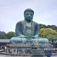 usewin139