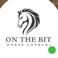onthebit_lopburi1