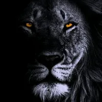 original sound - zephyr4320