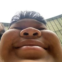 the.hippo4