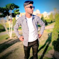 anser.king.1
