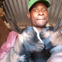 sauti ya asili