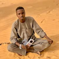 الصوت الأصلي