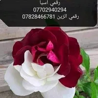 original sound - user510947422014