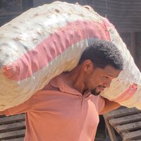 mohamedcarb