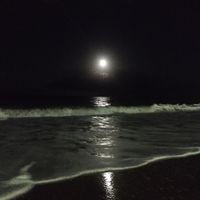 オリジナル楽曲 - 병아리