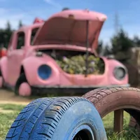 original sound - enstrumantal