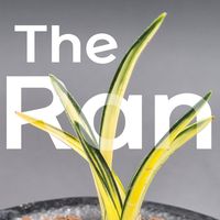 the_ran_tv