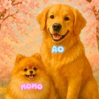 momo311_ao727