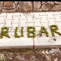 orijinal ses