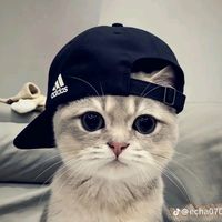 suara asli - ASKAA!!💥🚀