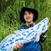 chitfishing