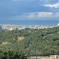 amyr_102