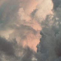 原聲 - AVAN
