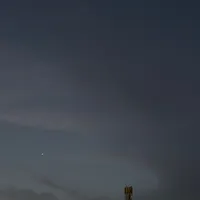 بوس الواوا