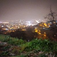 sakaryaliyiz54.61