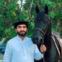 Mureed Abbas Khan