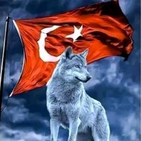 orijinal ses