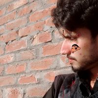 alihassanmalik912
