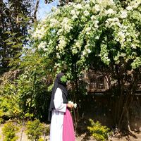 nilu_542