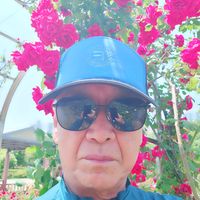 오리지널 사운드 - 배수옥