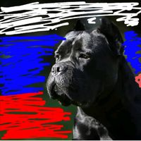 dynastypride_