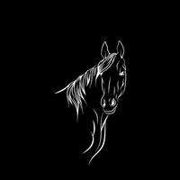 horselover17953