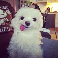 llovelife24_