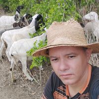 avidadocampo2504