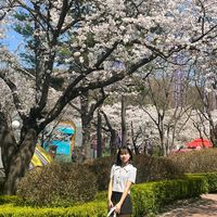 jixsu_9502