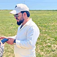 الصوت الأصلي