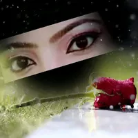 original sound - shehni15