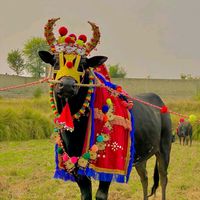 faizanbhatti17888