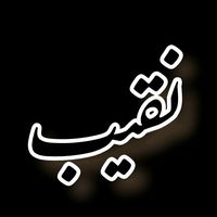 naqeebtypist3