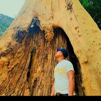 original sound - Bong 27