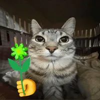 original sound - _hoangfminhh