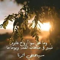 original sound - yahooo2911